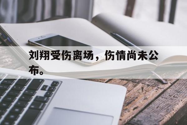 星空体育-刘翔受伤离场，伤情尚未公布。