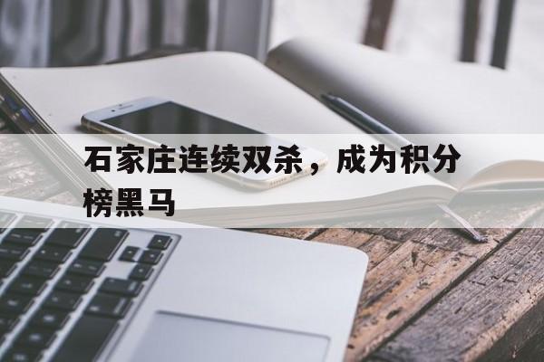 星空体育官网-石家庄连续双杀，成为积分榜黑马